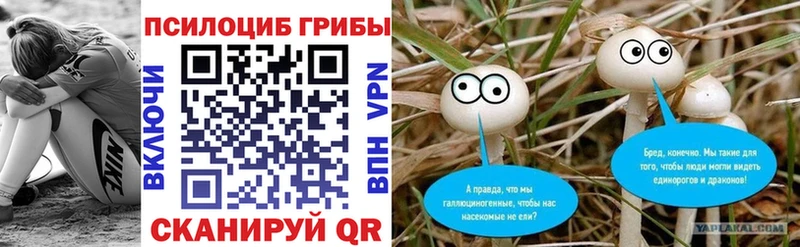 Купить закладки  Гвардейск  Галлюциногенные грибы Psilocybe 